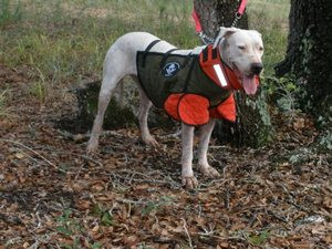 Vests Page 1 Wild Boar USA/Ugly Dog Ranch